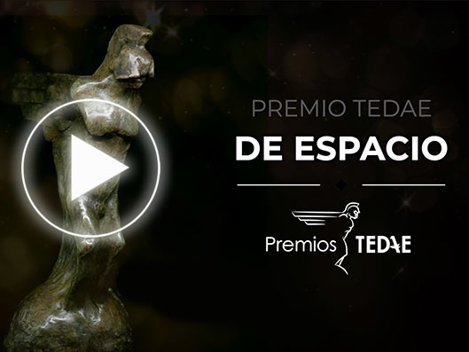 Premios TEDAE  - Categoría Espacio